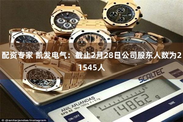 配资专家 凯发电气：截止2月28日公司股东人数为21545人