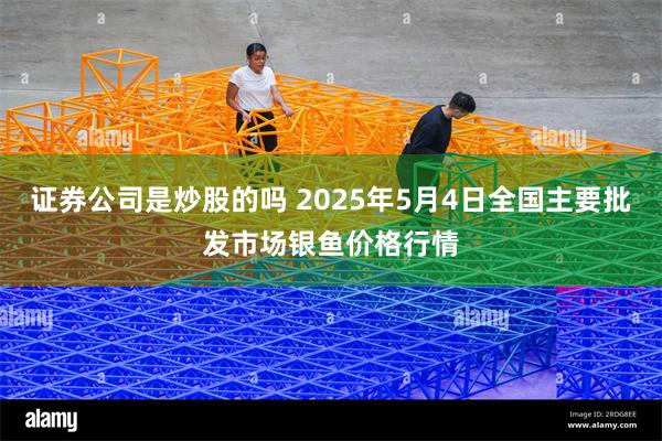 证券公司是炒股的吗 2025年5月4日全国主要批发市场银鱼价格行情