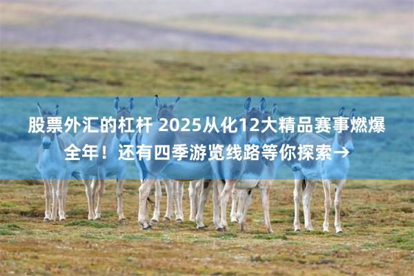 股票外汇的杠杆 2025从化12大精品赛事燃爆全年！还有四季游览线路等你探索→