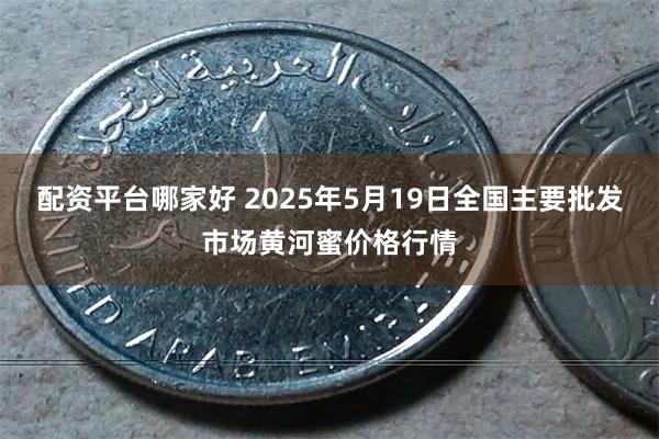 配资平台哪家好 2025年5月19日全国主要批发市场黄河蜜价格行情