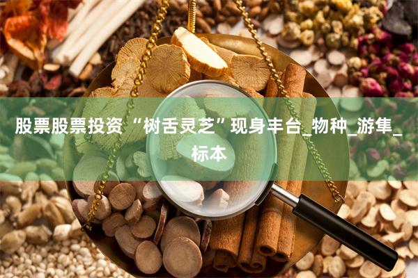 股票股票投资 “树舌灵芝”现身丰台_物种_游隼_标本