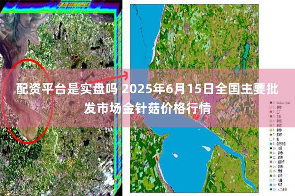 配资平台是实盘吗 2025年6月15日全国主要批发市场金针菇价格行情