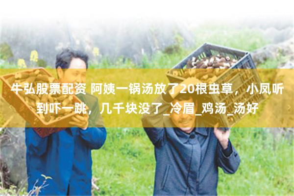 牛弘股票配资 阿姨一锅汤放了20根虫草，小凤听到吓一跳，几千块没了_冷眉_鸡汤_汤好