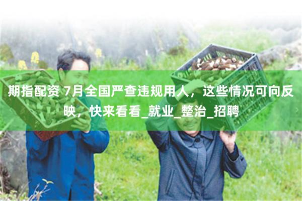 期指配资 7月全国严查违规用人，这些情况可向反映，快来看看_就业_整治_招聘