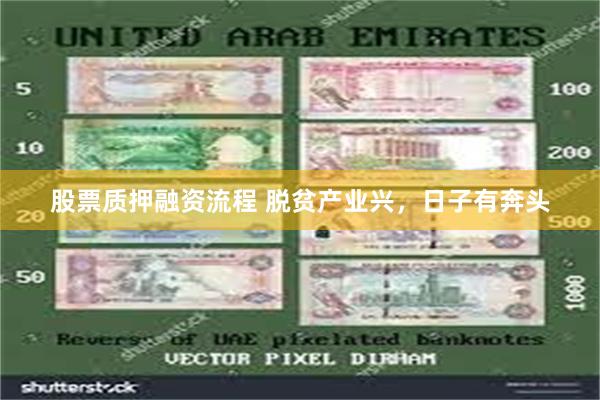 股票质押融资流程 脱贫产业兴，日子有奔头