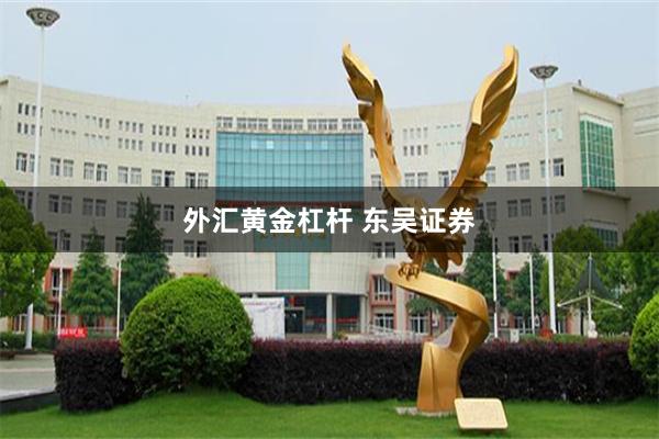 外汇黄金杠杆 东吴证券